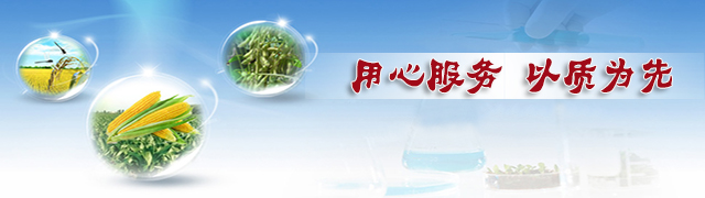 紅四方復合肥用心服務·以質為先