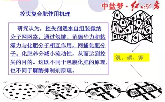 控失復合肥作用機理