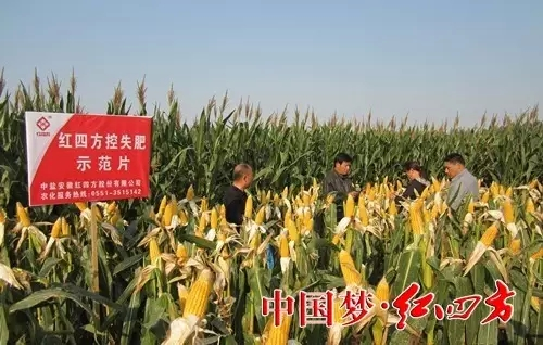 紅四方肥料推廣覆蓋17省