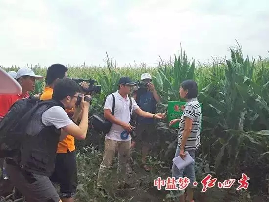 大家爭相采訪楊帆