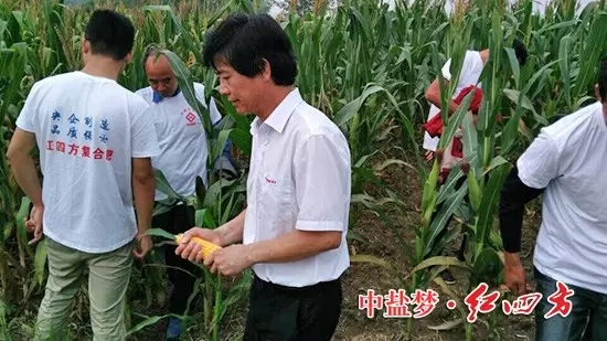 紅四方明光經(jīng)銷商劉廷府在澗溪鎮(zhèn)召開紅四方緩釋肥觀摩會，50名農(nóng)戶應(yīng)邀參加1.