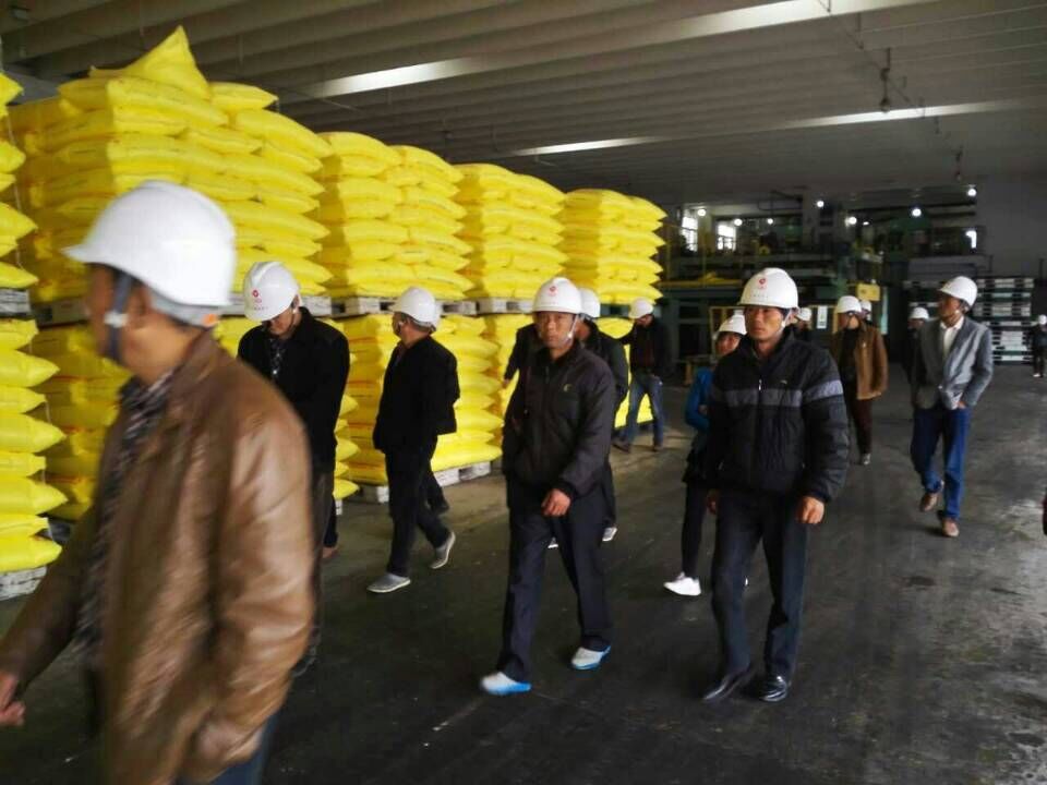 農場主參觀紅四方復合肥廠家