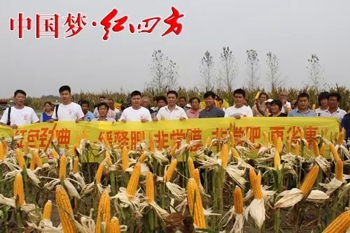 中鹽紅四方一直將產品創新作為企業發展的第一要務，大力開展農化服務和新型肥料。