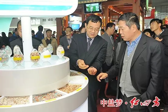 中鹽紅四方董事長朱楓、總經理方立貴親臨現(xiàn)場