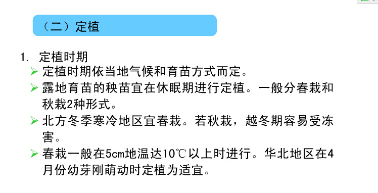 蘆筍種植技術(shù)-定植