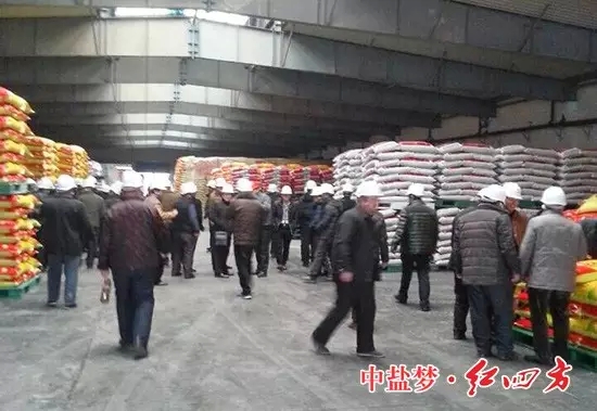 ▲兩旁排列整齊的、品種齊全的復合肥產品，上前看個仔細！