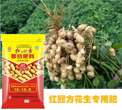 花生喜歡什么肥料？紅四方花生專用肥挺好！