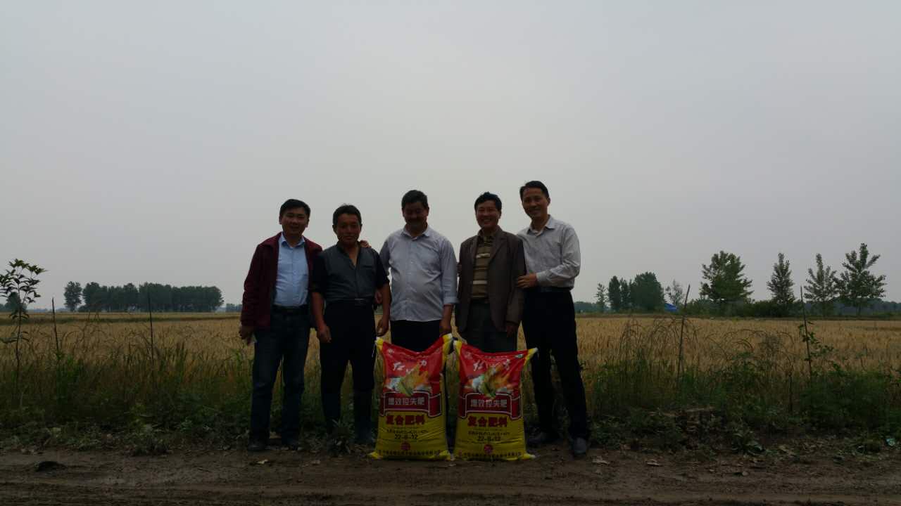 小麥專用肥好不好？看壽縣小麥肥經(jīng)銷商怎么說？