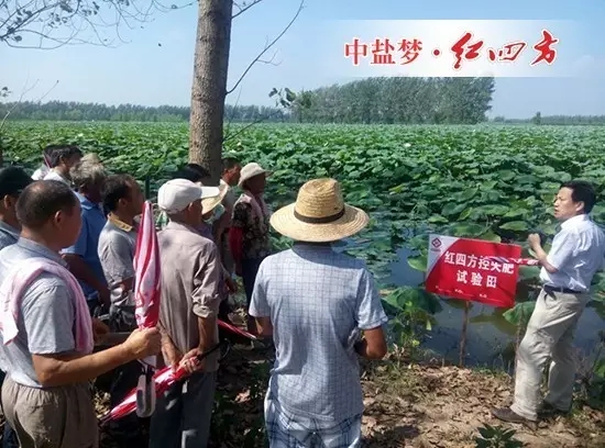 好產(chǎn)品，大家都喜歡！