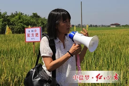 全國農機推廣中心副處長楊帆