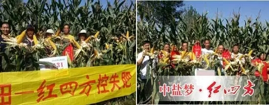 兩場觀摩篤定選擇