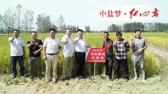 眼見(jiàn)為實(shí)，耳聽(tīng)為虛。今天，老鄉(xiāng)們是親眼看到了紅四方控失肥的神奇效果，莊稼長(zhǎng)得好，產(chǎn)量自然高。