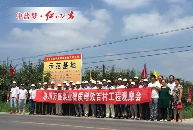 紅四方蘋果專用肥示范基地觀摩會(huì) 紅四方蘋果專用肥示范基地觀摩會(huì)