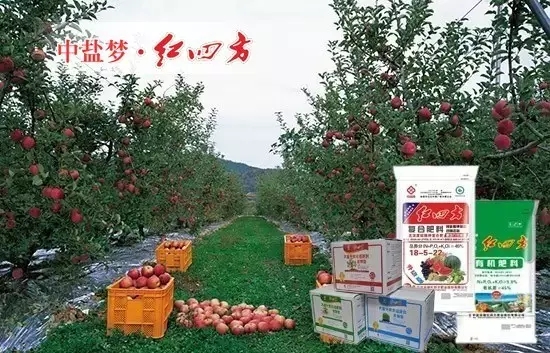 套餐搭配 套餐搭配