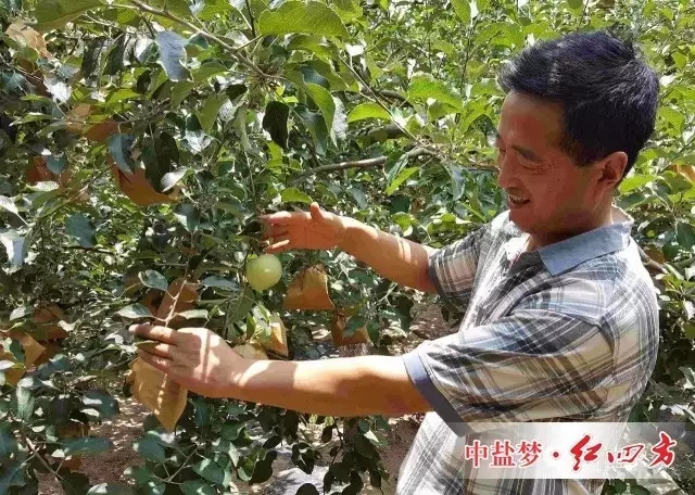 2016年7月7日回訪,觀察袋內(nèi)果實(shí)。 2016年7月7日回訪,觀察袋內(nèi)果實(shí)。