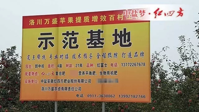 特色蘋果示范基地 特色蘋果示范基地