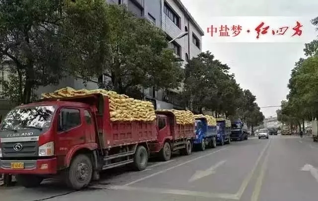 2016年，營銷系統(tǒng)各大區(qū)通過大量觀摩會、活動、科技講座等，取得了喜人的銷量。距離2017年只有2天，中鹽紅四方復(fù)合肥銷售喜報頻傳，復(fù)合肥日發(fā)貨量突破一萬噸，創(chuàng)歷史新高！