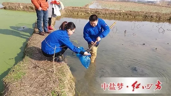 然而，要想蓮藕“含金量”和產量名列前茅，需要定期施肥管理，為此，我產生了為花香藕量身定制專用配方的念頭，于是，就有了開頭藕塘取土采樣的畫面。