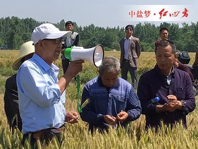 老專家講解農技知識